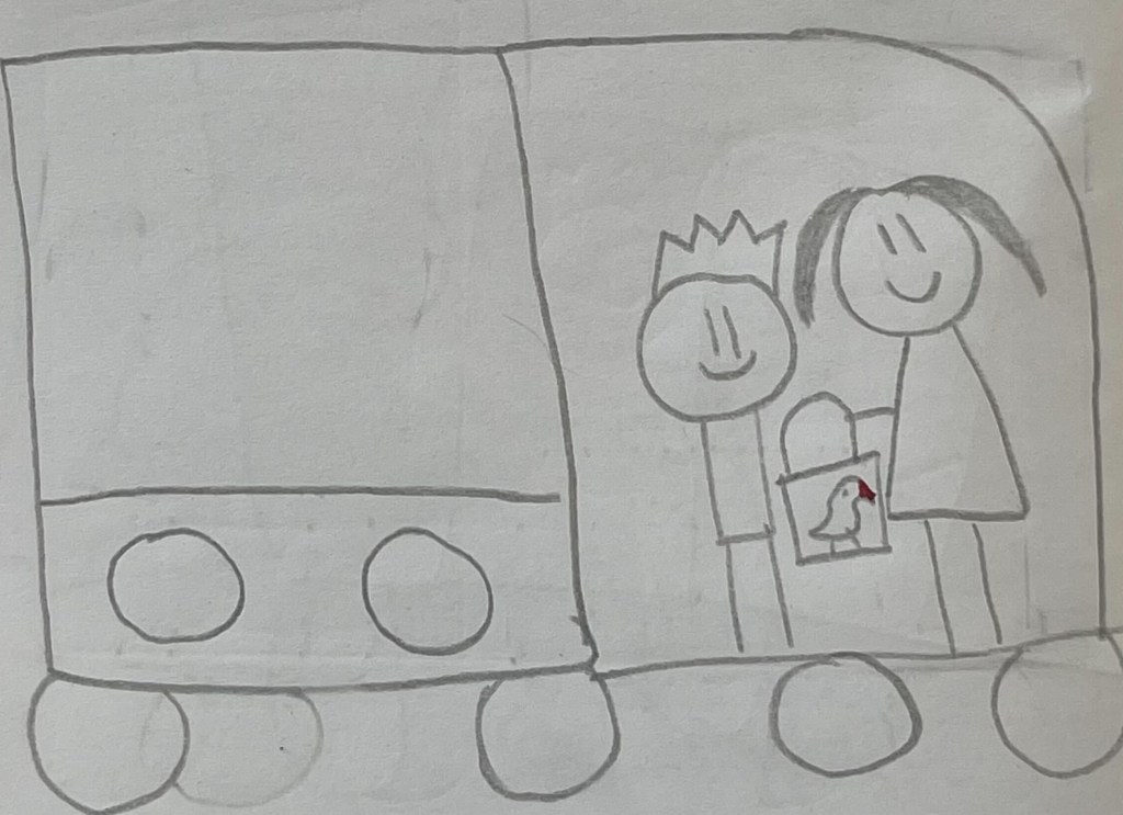 哆来咪漫画 | 鹦鹉是公还是母?